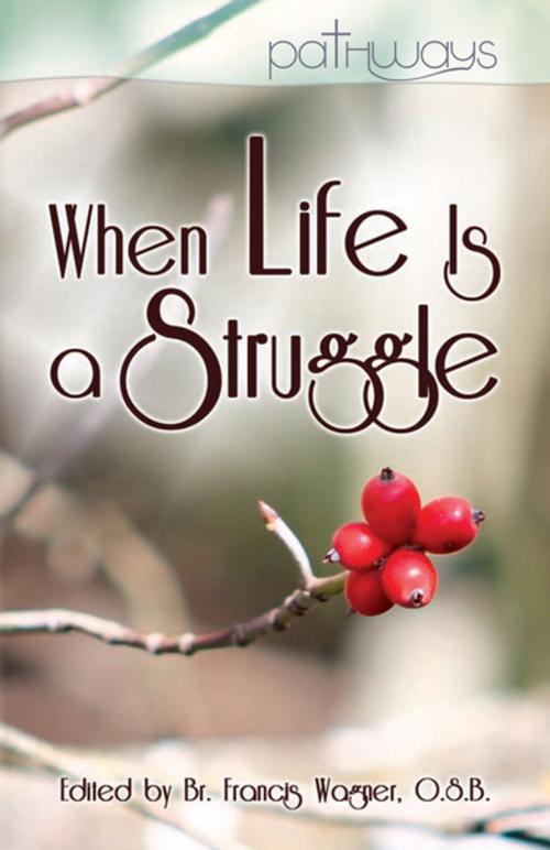 Cover of the book When Life Is a Struggle by Brother Francis Wagner, O.S.B., Abbey Press