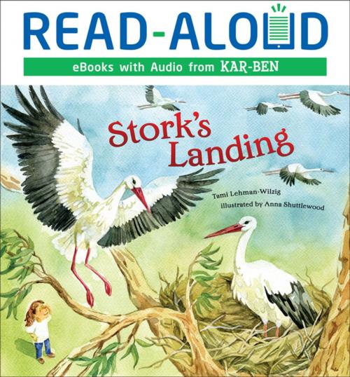 Cover of the book Stork's Landing by Tami Lehman-Wilzig, Lerner Publishing Group