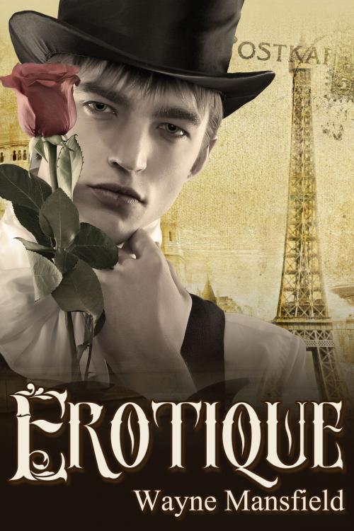 Cover of the book Erotique by Wayne Mansfield, JMS Books LLC