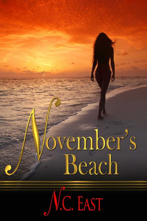 Cover of the book November's Beach by N.C. East, Torrid Books