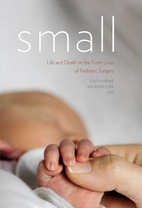 Cover of the book Small by Catherine Musemeche, Dartmouth College Press