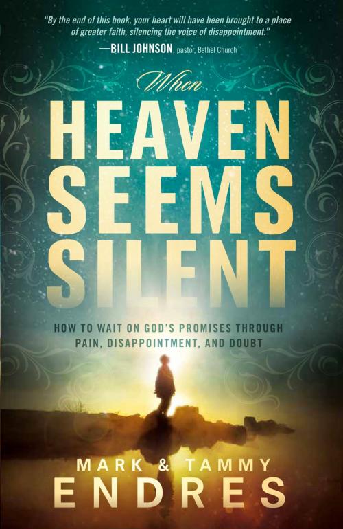 Cover of the book When Heaven Seems Silent by Mark and Tammy Endres, Charisma House