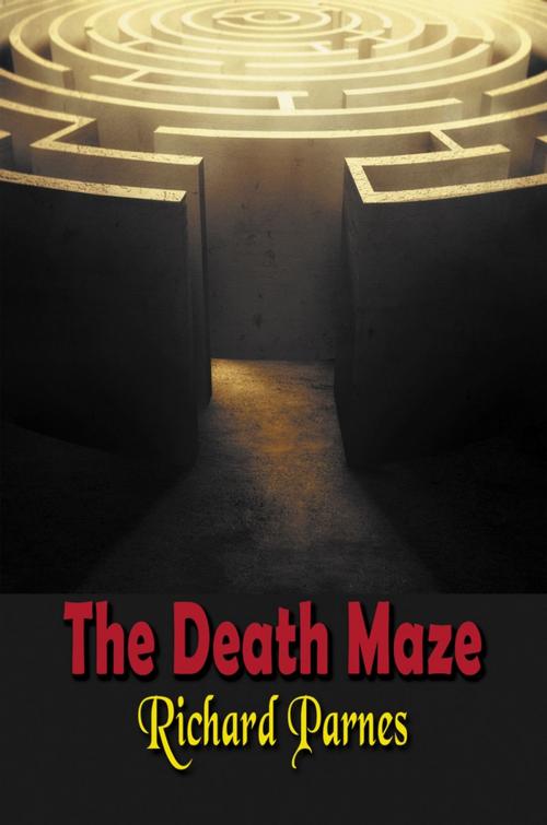 Cover of the book The Death Maze by Richard Parnes, Strategic Book Publishing & Rights Co.