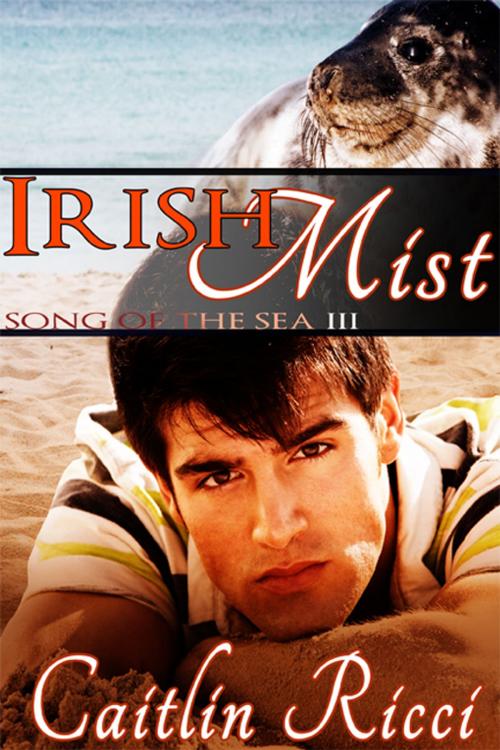 Cover of the book Irish Mist by Caitlin Ricci, eXtasy Books Inc