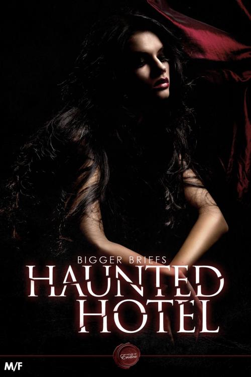 Cover of the book Haunted Hotel (MF) by Victoria Blisse, Andrews UK