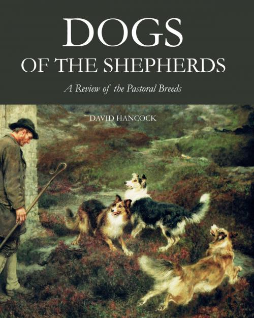 Cover of the book Dogs of the Shepherds by David Hancock, Crowood