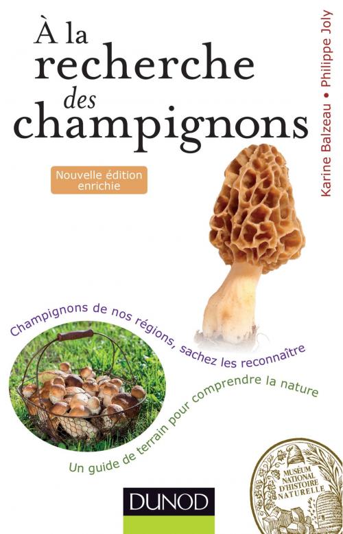 Cover of the book A la recherche des champignons - 2e. éd. by Karine Balzeau, Philippe Joly, Dunod