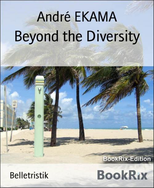 Cover of the book Beyond the Diversity by André EKAMA, BookRix