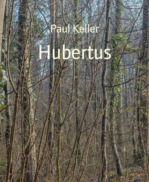 Cover of the book Hubertus by Paul Keller, BookRix