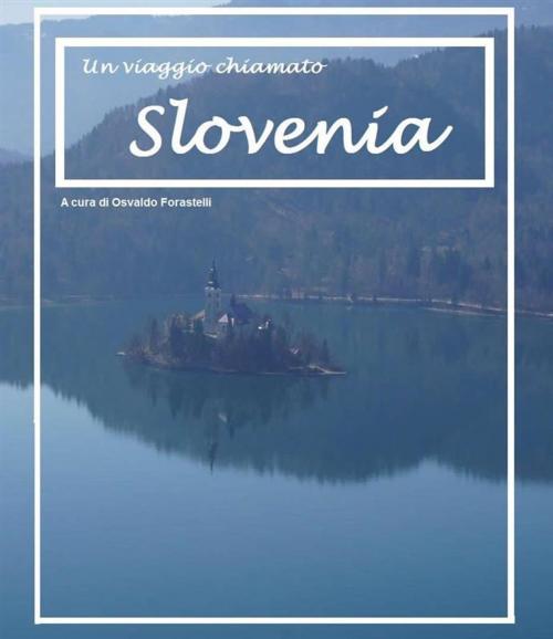 Cover of the book Un viaggio chiamato Slovenia by Osvaldo Forastelli, Osvaldo Forastelli
