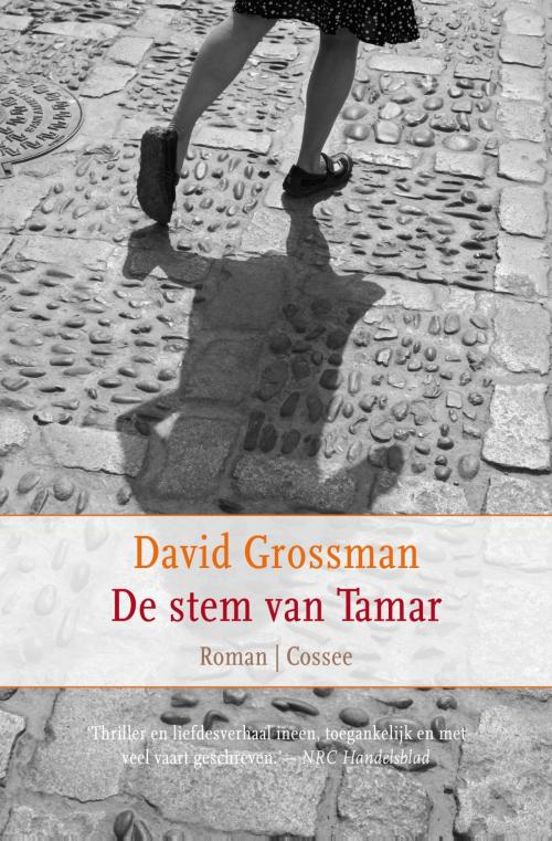 Cover of the book De stem van Tamar by David Grossman, Cossee, Uitgeverij