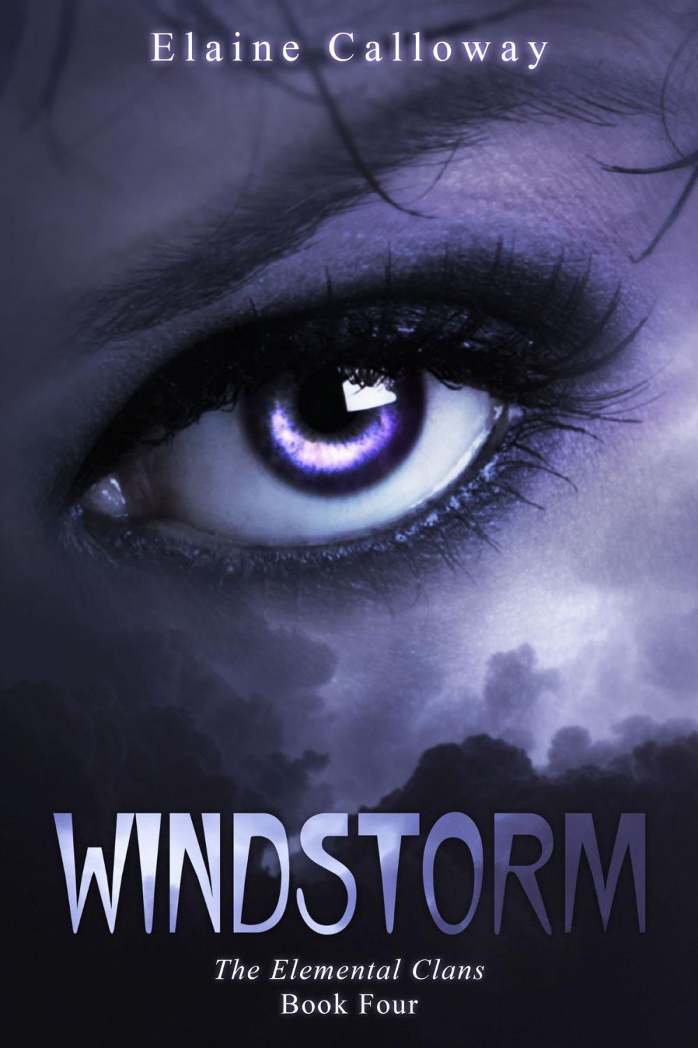 Big bigCover of Windstorm