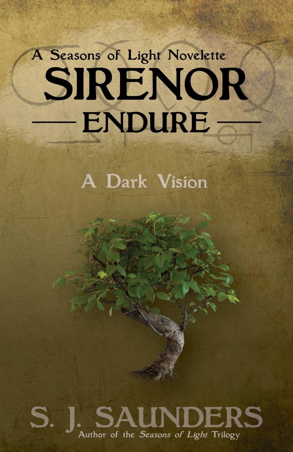 Big bigCover of Sirenor: Endure