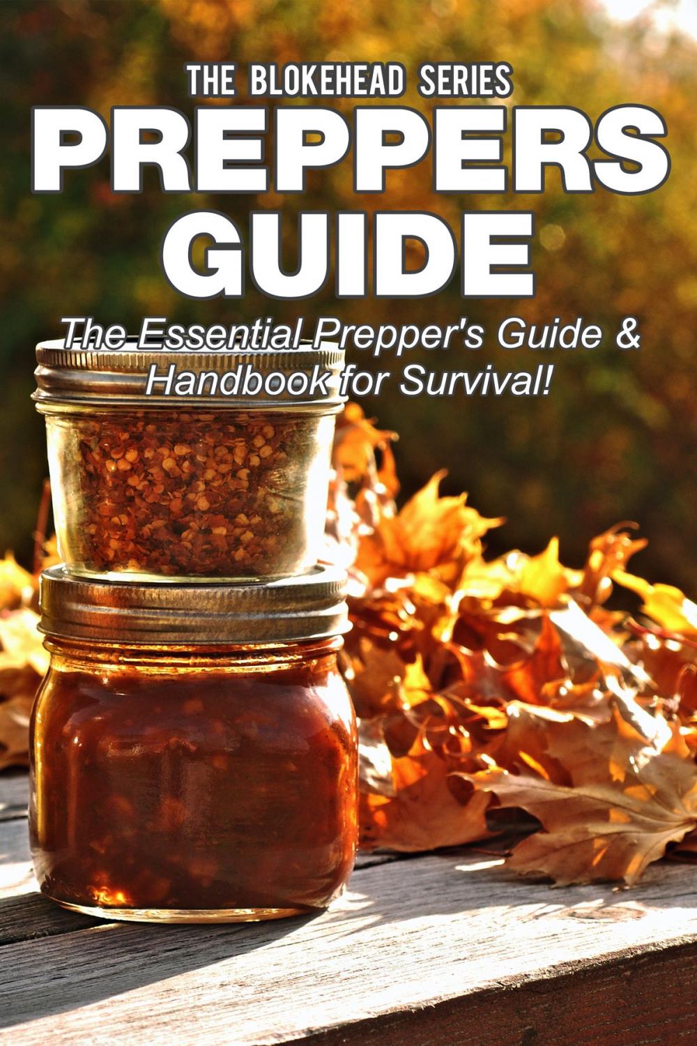 Big bigCover of Preppers Guide: The Essential Prepper's Guide & Handbook for Survival!