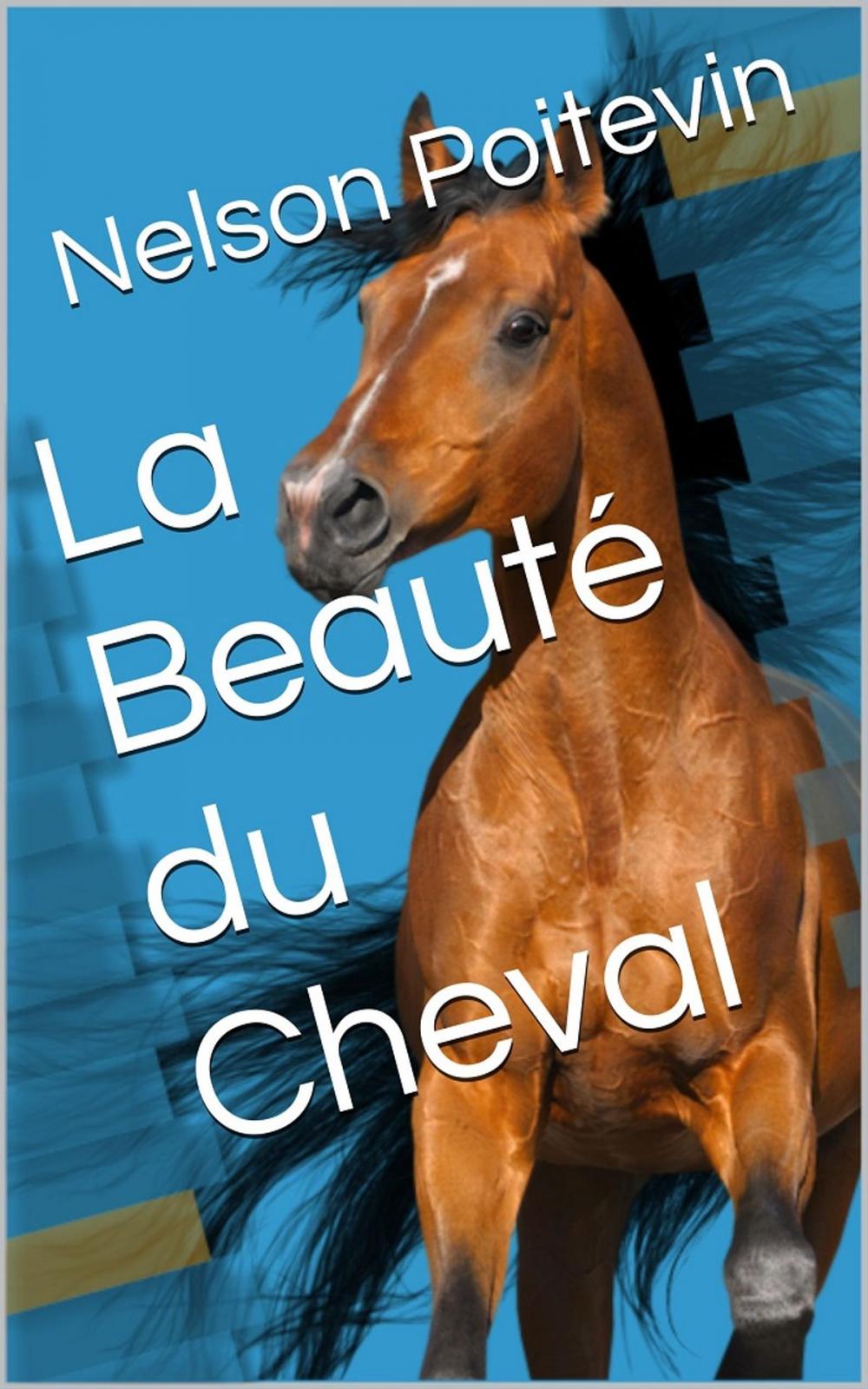 Big bigCover of La Beauté du Cheval