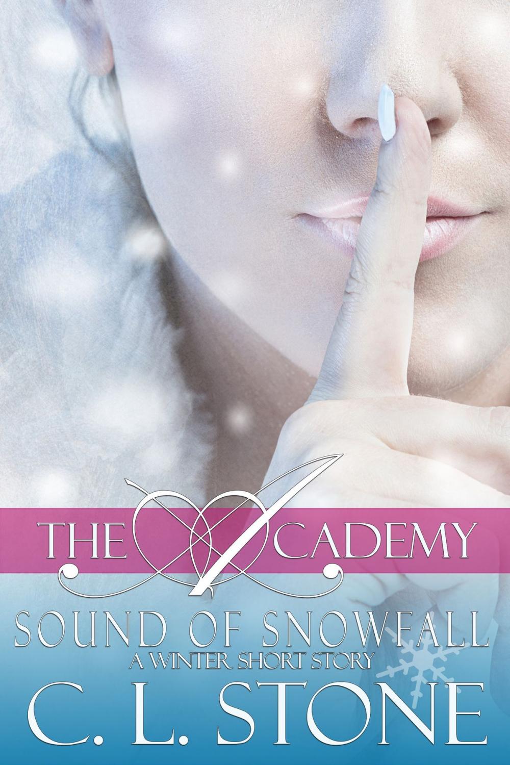 Big bigCover of The Academy - Sound of Snowfall