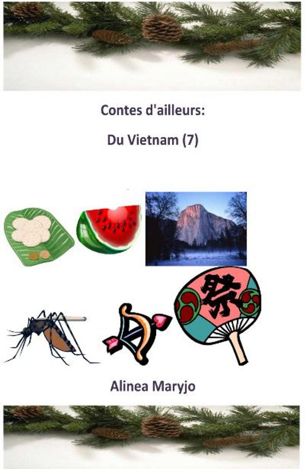 Big bigCover of Contes d'ailleurs : du Vietnam