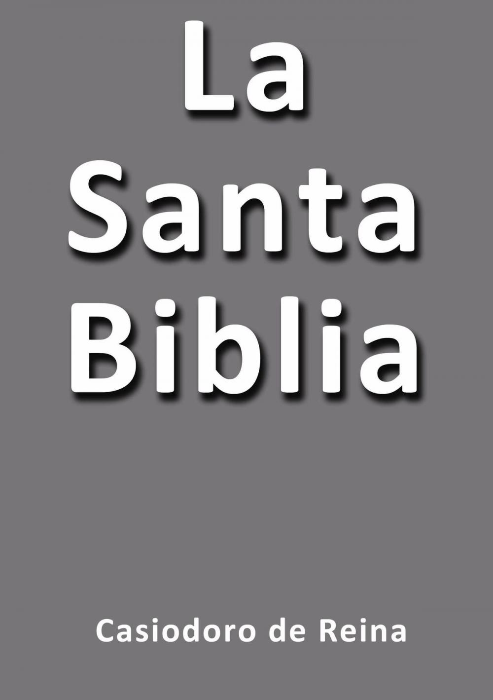 Big bigCover of La Santa Biblia