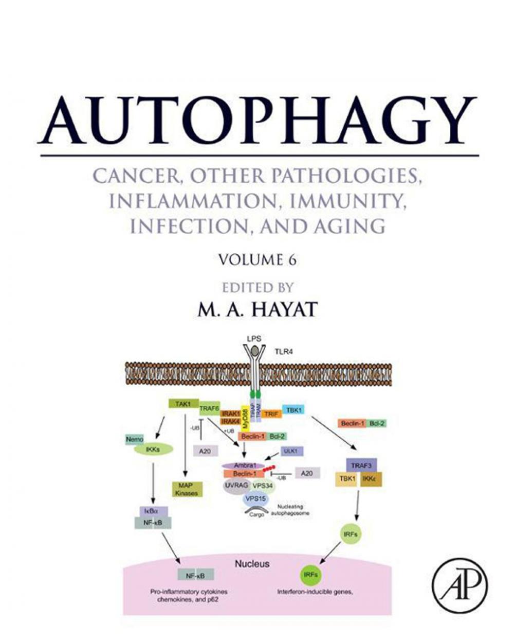 Big bigCover of Autophagy: Cancer, Other Pathologies, Inflammation, Immunity, Infection, and Aging