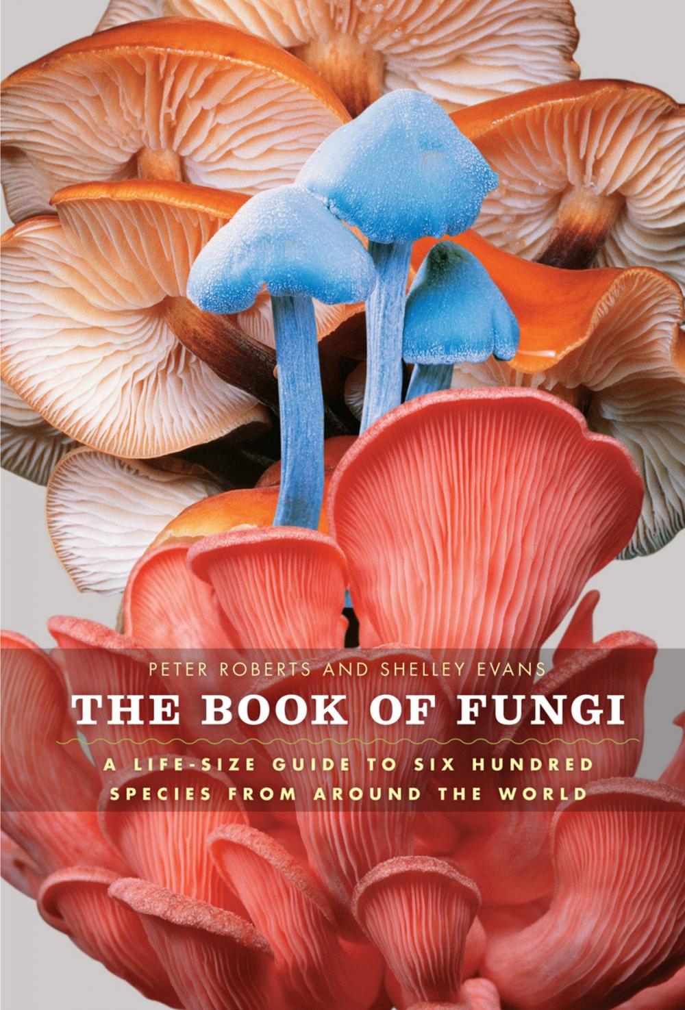 Big bigCover of The Book of Fungi