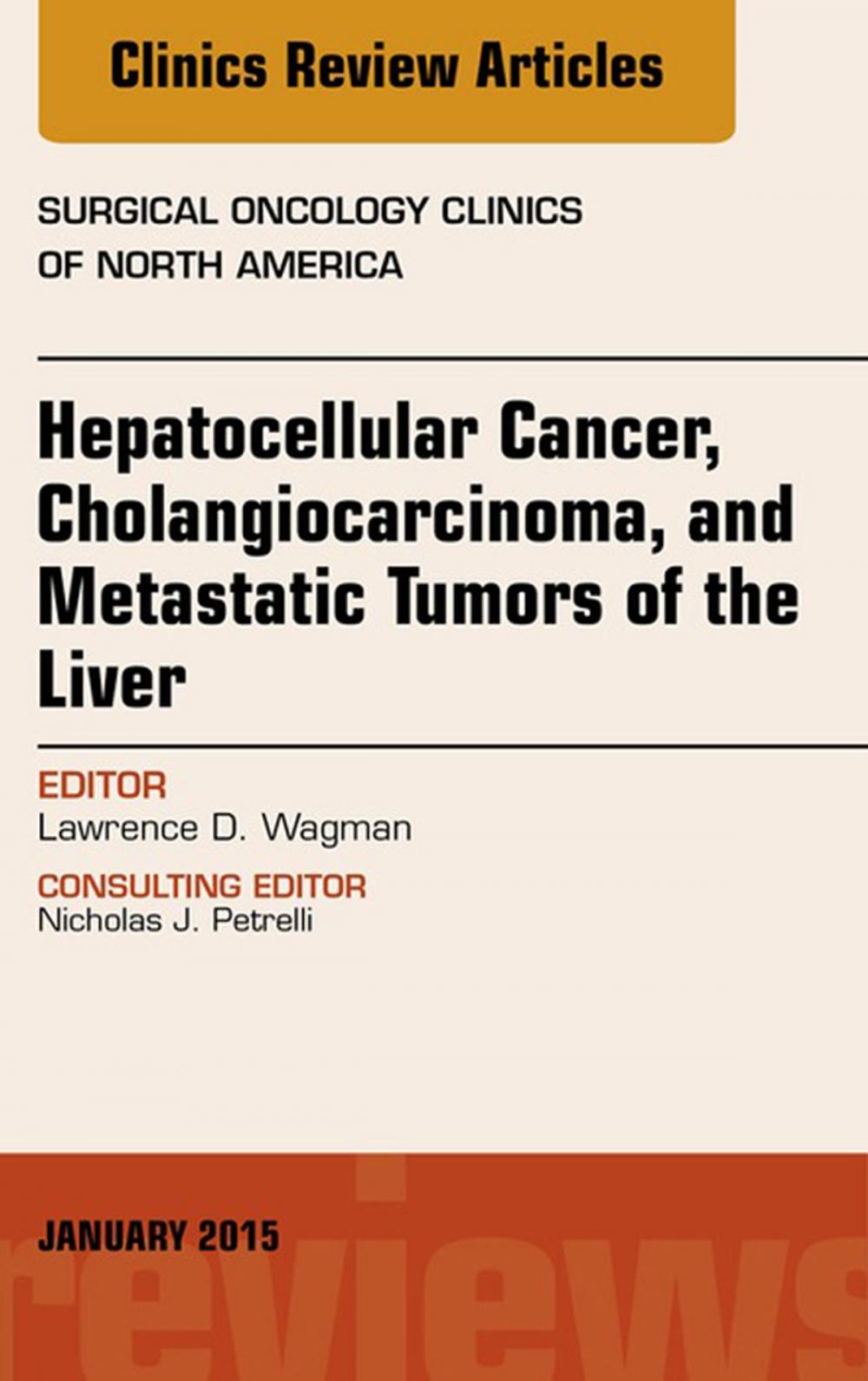 Big bigCover of Hepatocellular Cancer, Cholangiocarcinoma, and Metastatic Tumors of the Liver, An Issue of Surgical Oncology Clinics of North America, E-Book