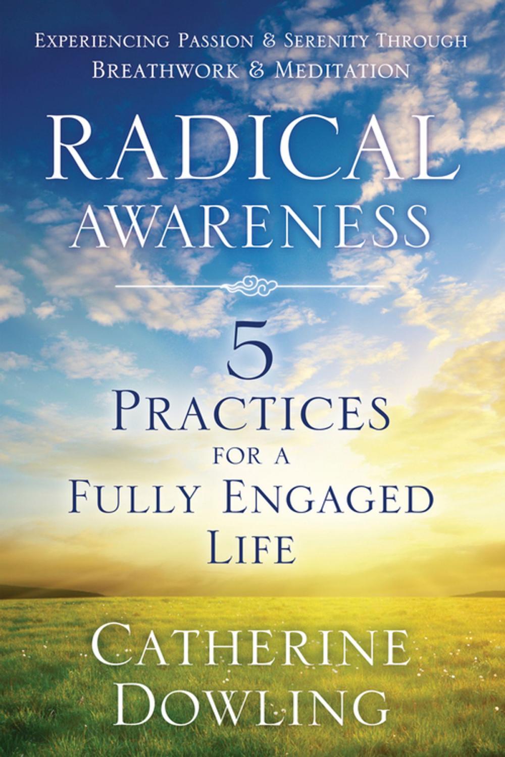 Big bigCover of Radical Awareness