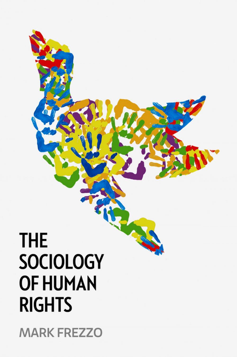 Big bigCover of The Sociology of Human Rights