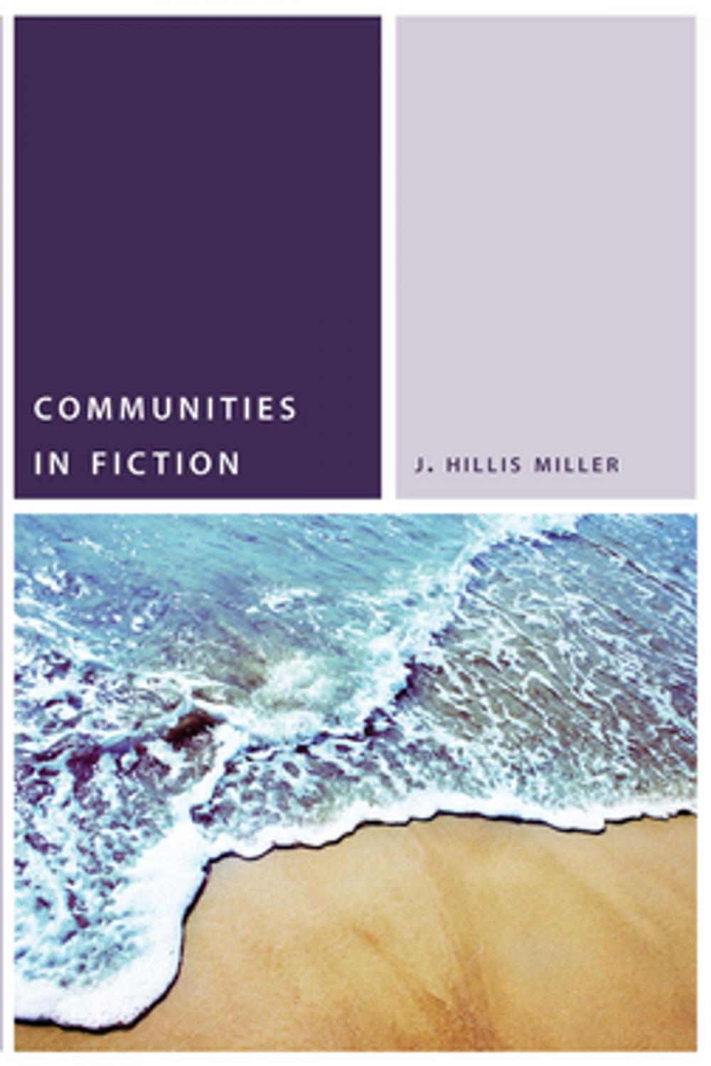 Big bigCover of Communities in Fiction