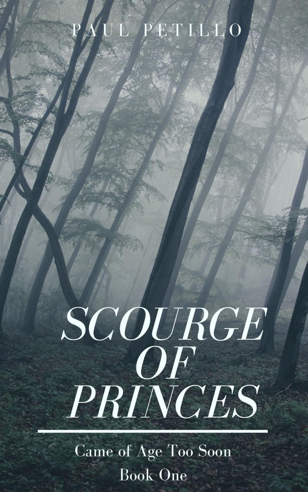 Big bigCover of Scourge of Princes: Came of Age Too Soon - Book One