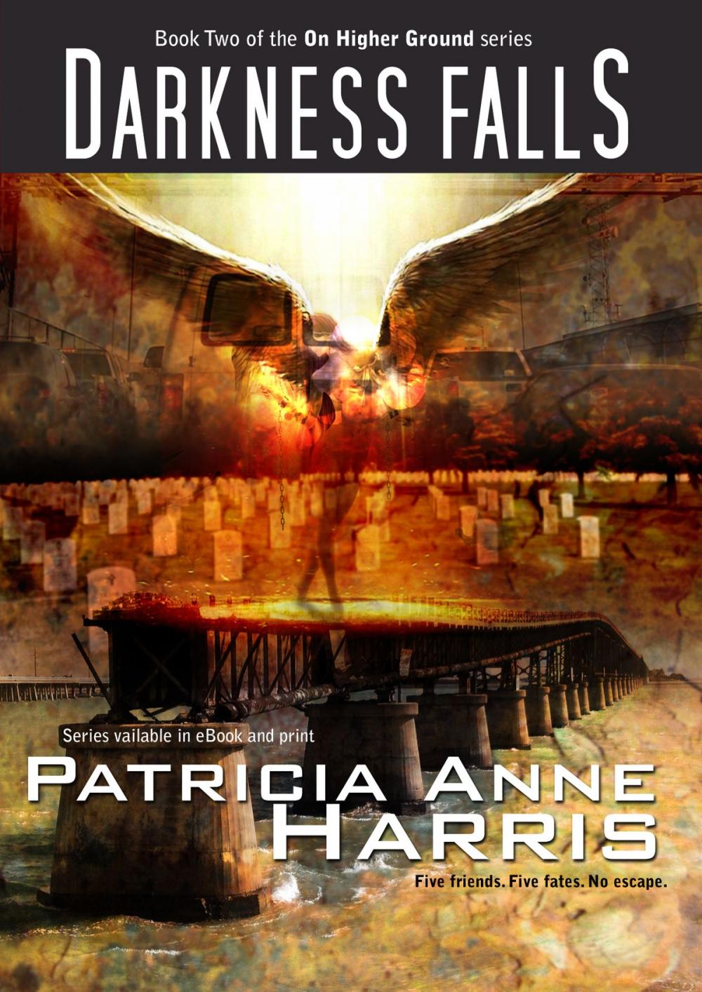 Big bigCover of Darkness Falls: On Higher Ground series Book 2