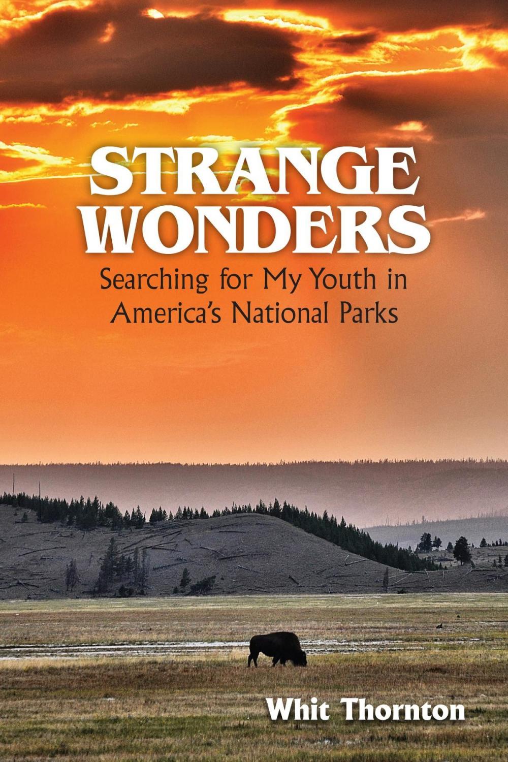 Big bigCover of Strange Wonders: Searching for My Youth in America's National Parks