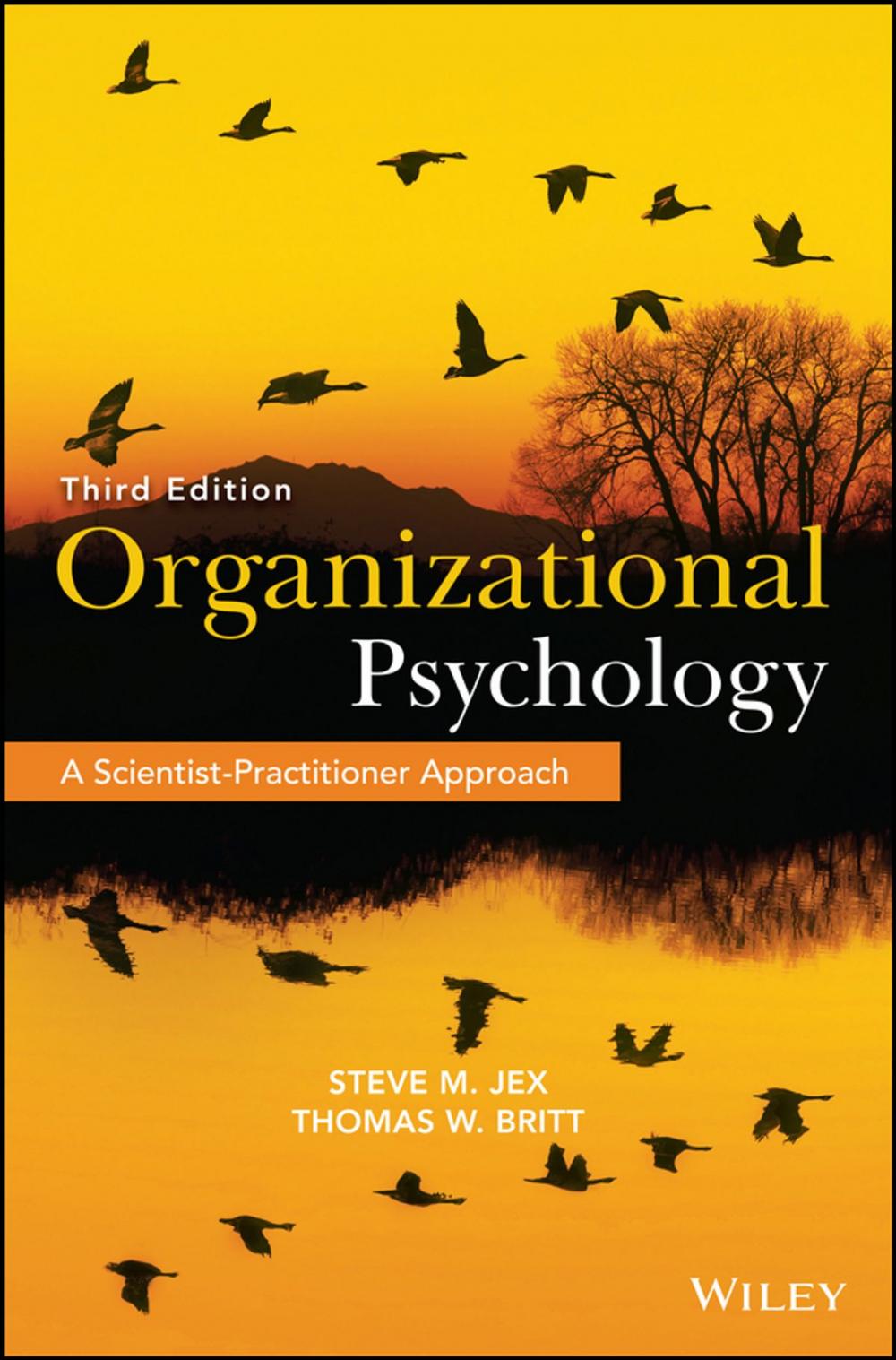 Big bigCover of Organizational Psychology