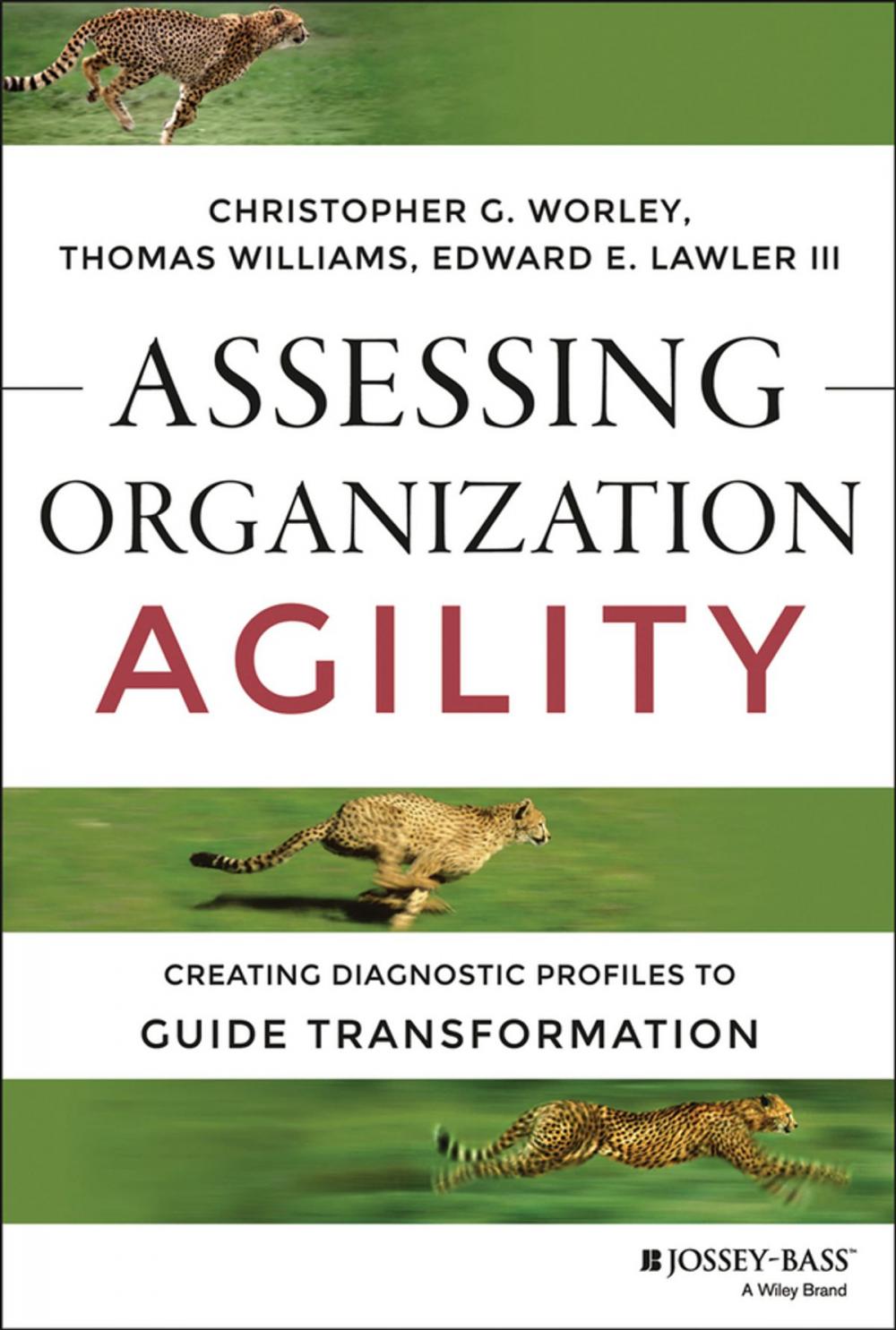 Big bigCover of Assessing Organization Agility