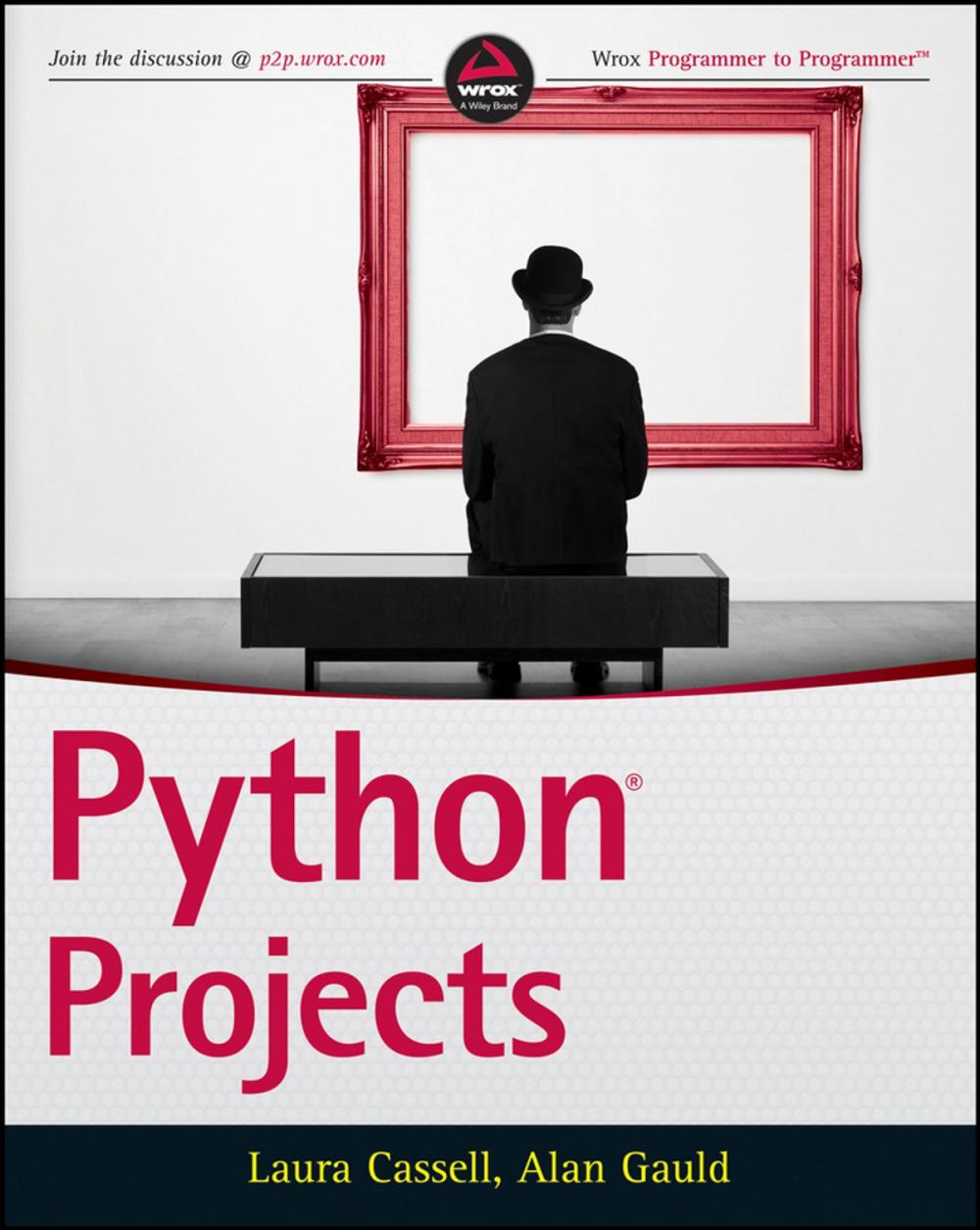 Big bigCover of Python Projects