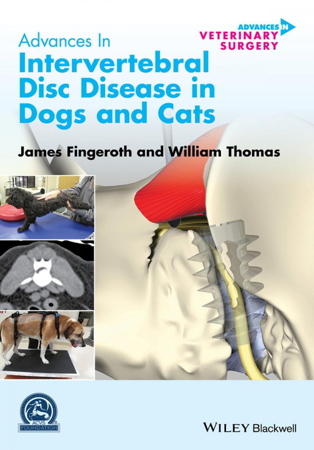 Big bigCover of Advances in Intervertebral Disc Disease in Dogs and Cats