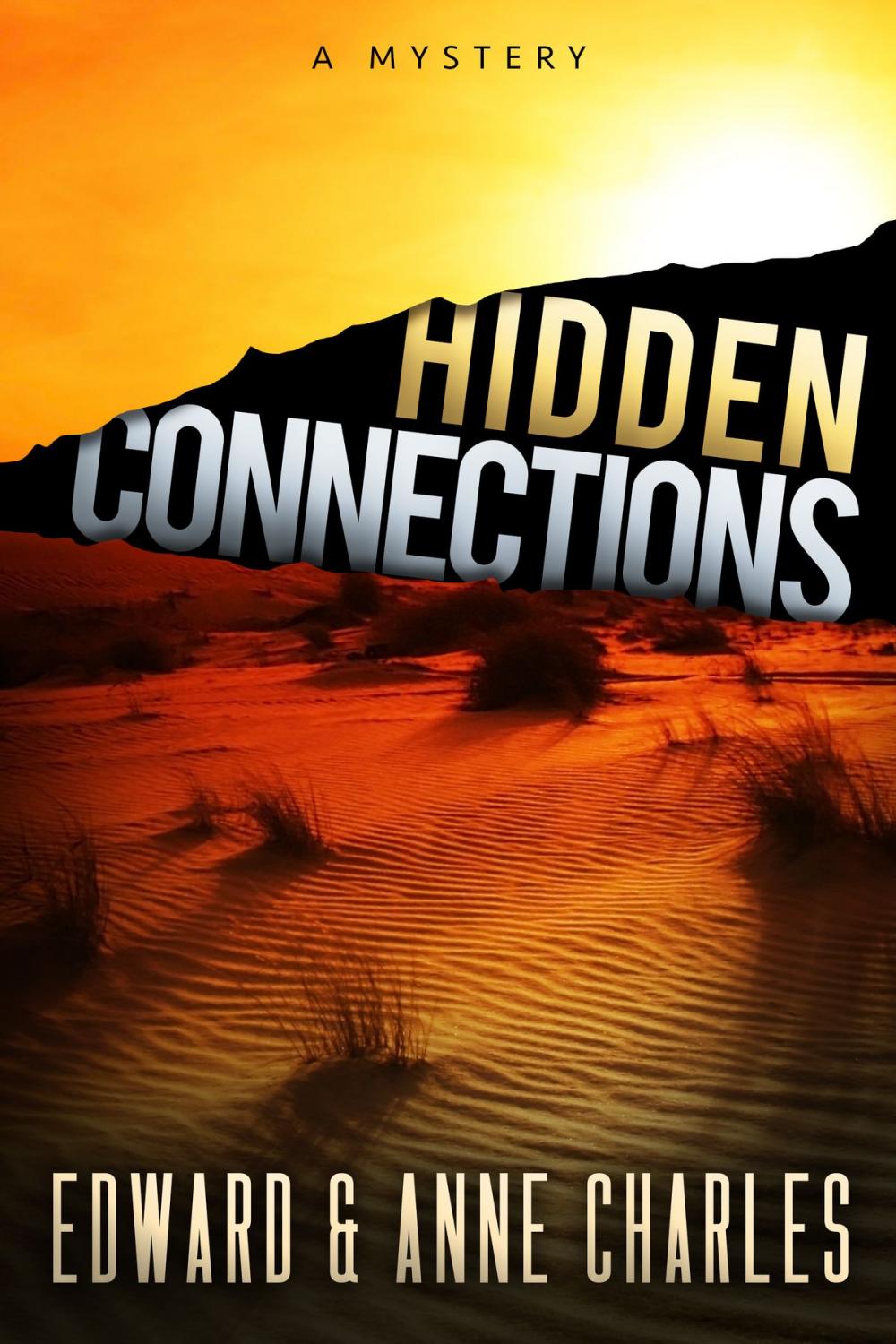 Big bigCover of Hidden Connections`