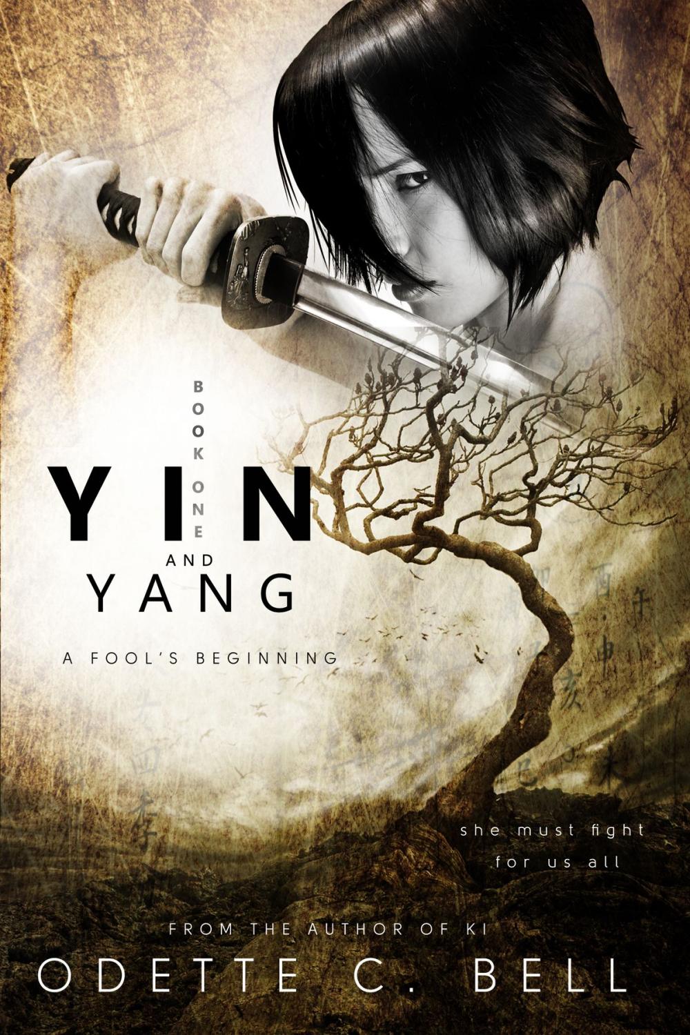 Big bigCover of Yin and Yang: A Fool's Beginning