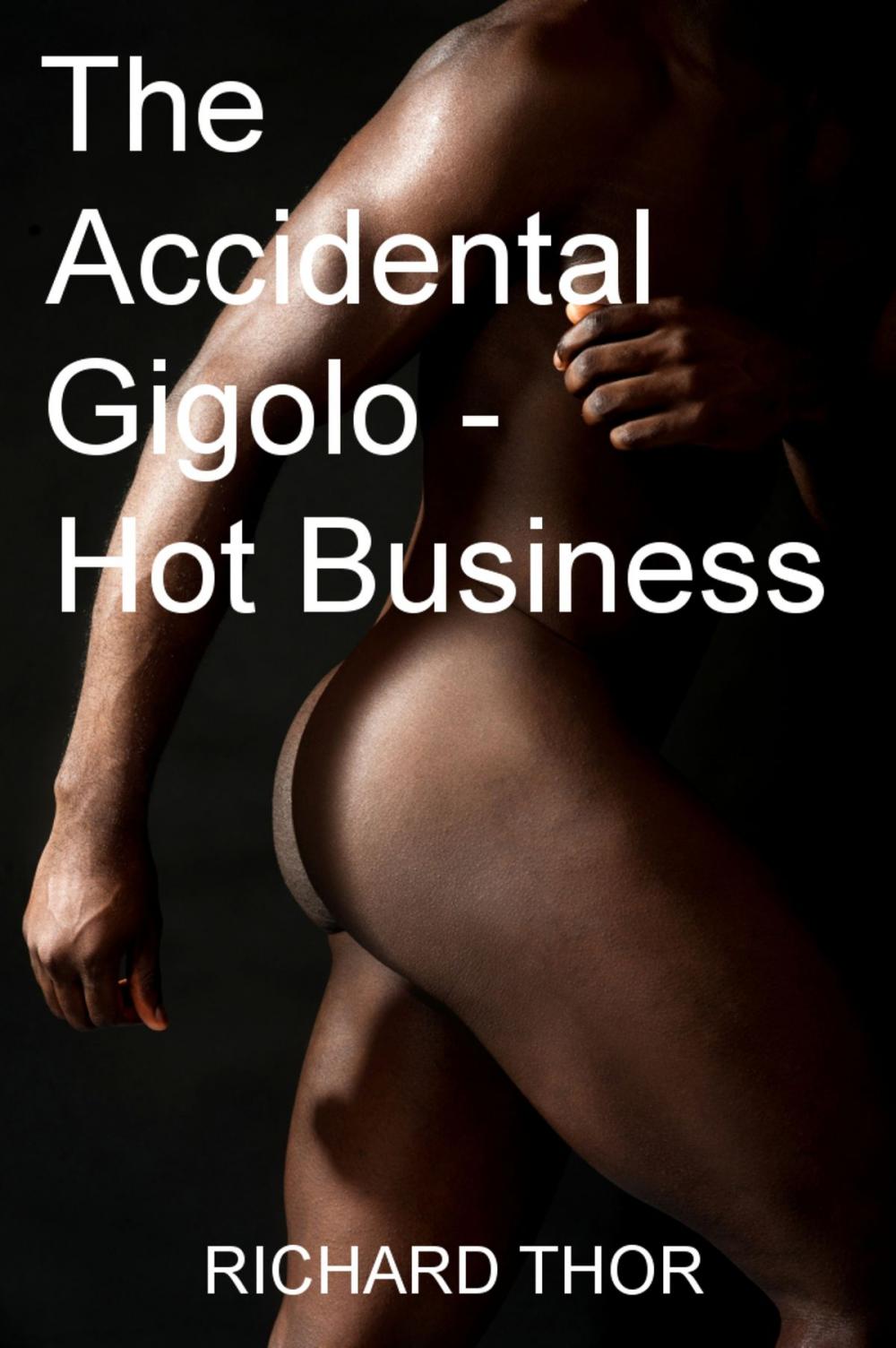 Big bigCover of The Accidental Gigolo: Hot Business