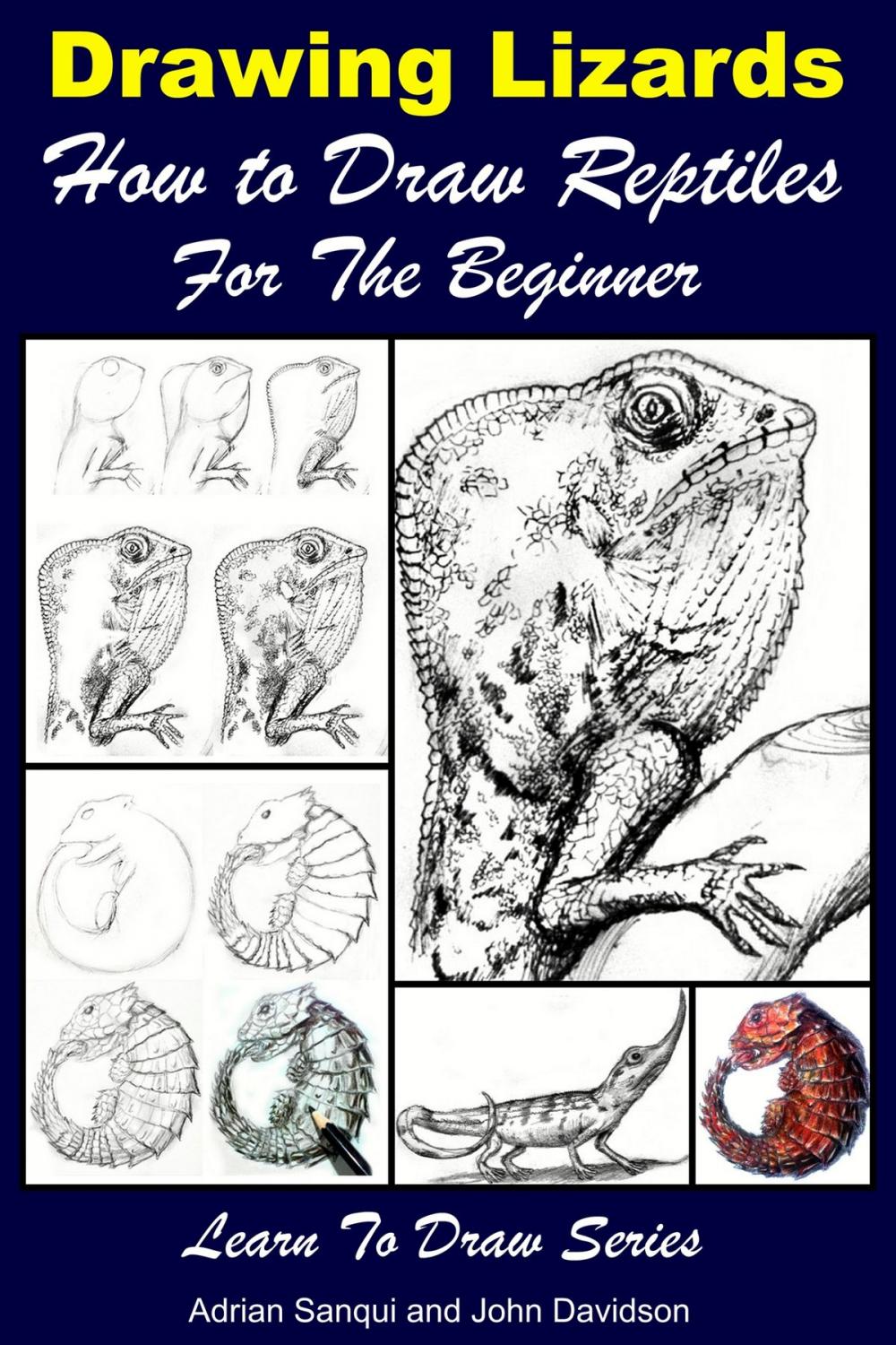 Big bigCover of Drawing Lizards: How to Draw Reptiles For the Beginner