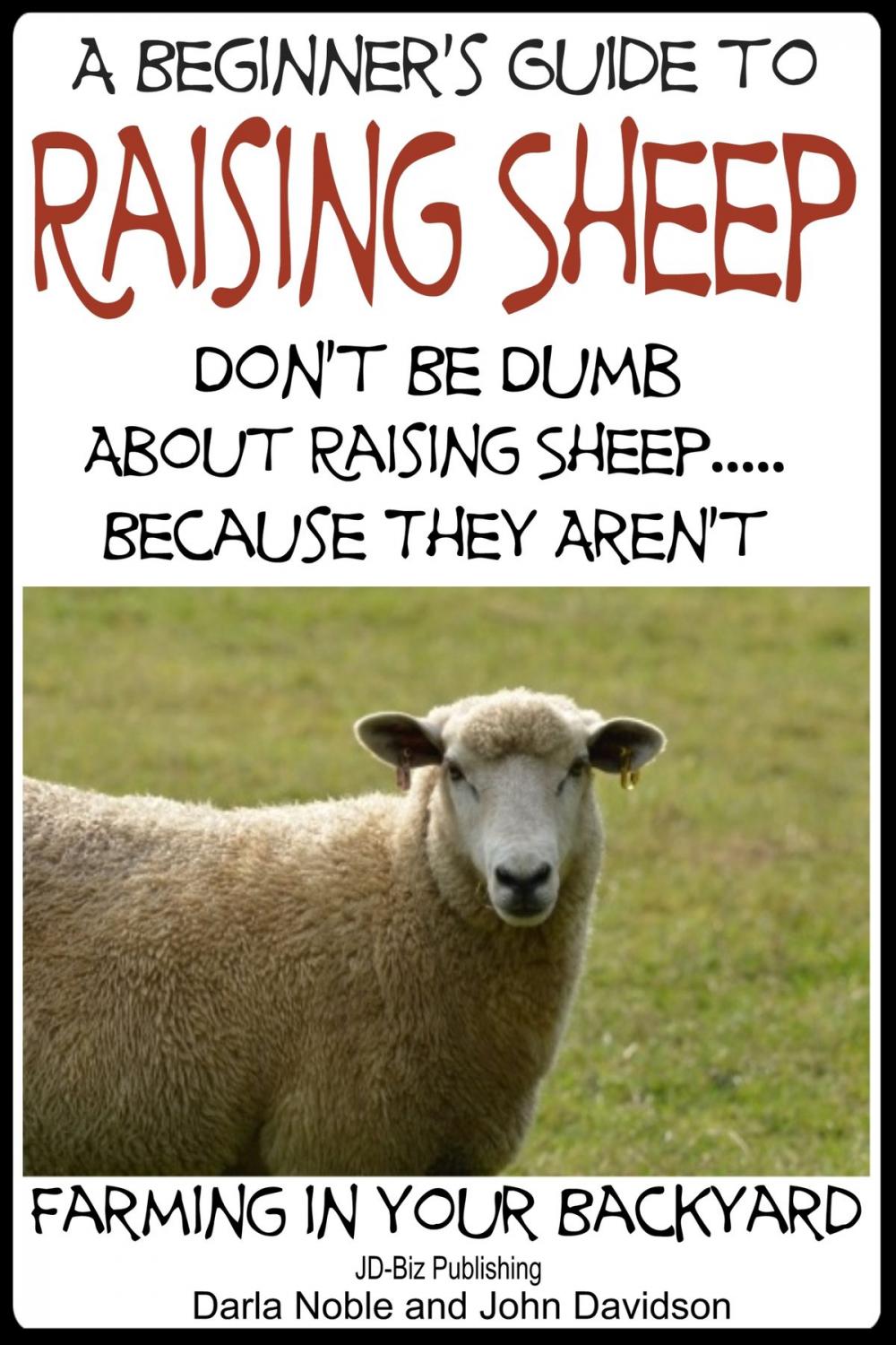 Big bigCover of A Beginner’s Guide to Raising Sheep: Don’t Be Dumb About Raising Sheep…Because They Aren’t