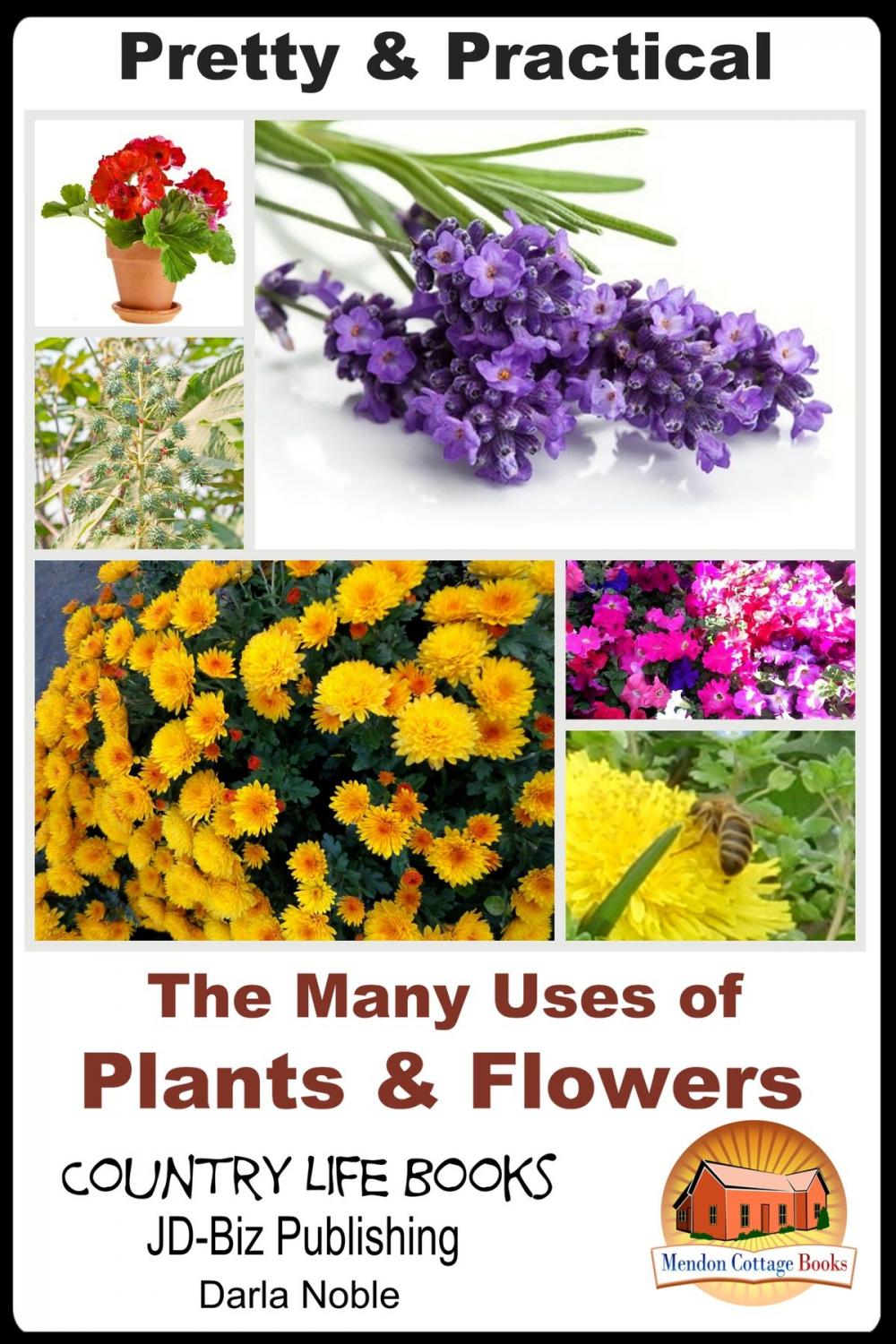 Big bigCover of Pretty & Practical: The Many Uses of Plants & Flowers