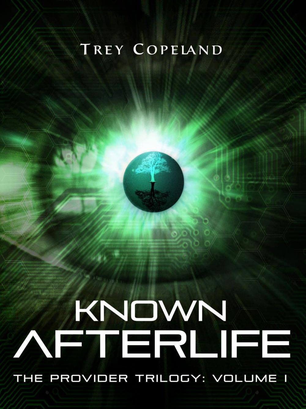 Big bigCover of Known Afterlife (The Provider Trilogy: Volume I)