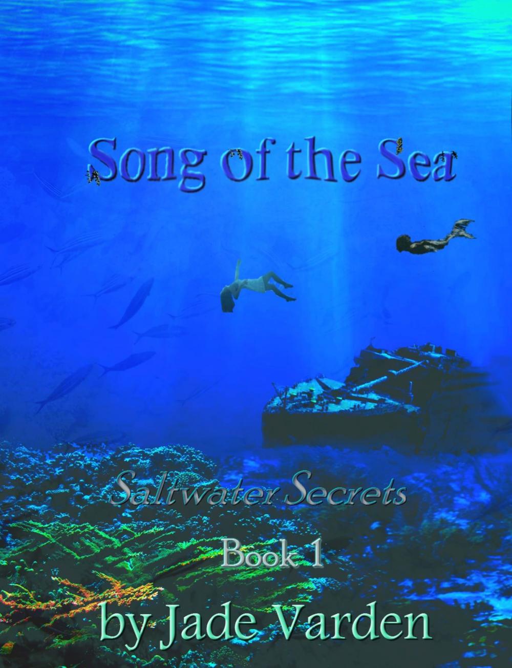 Big bigCover of Saltwater Secrets, Book 1: Song of the Sea