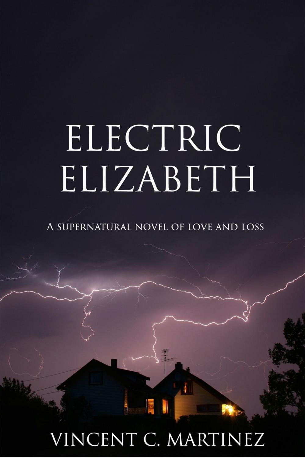 Big bigCover of Electric Elizabeth: A Novel