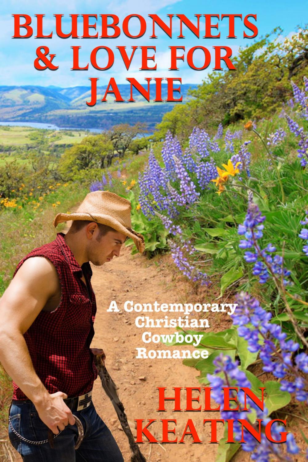 Big bigCover of Bluebonnets & Love For Janie (A Contemporary Christian Cowboy Romance)