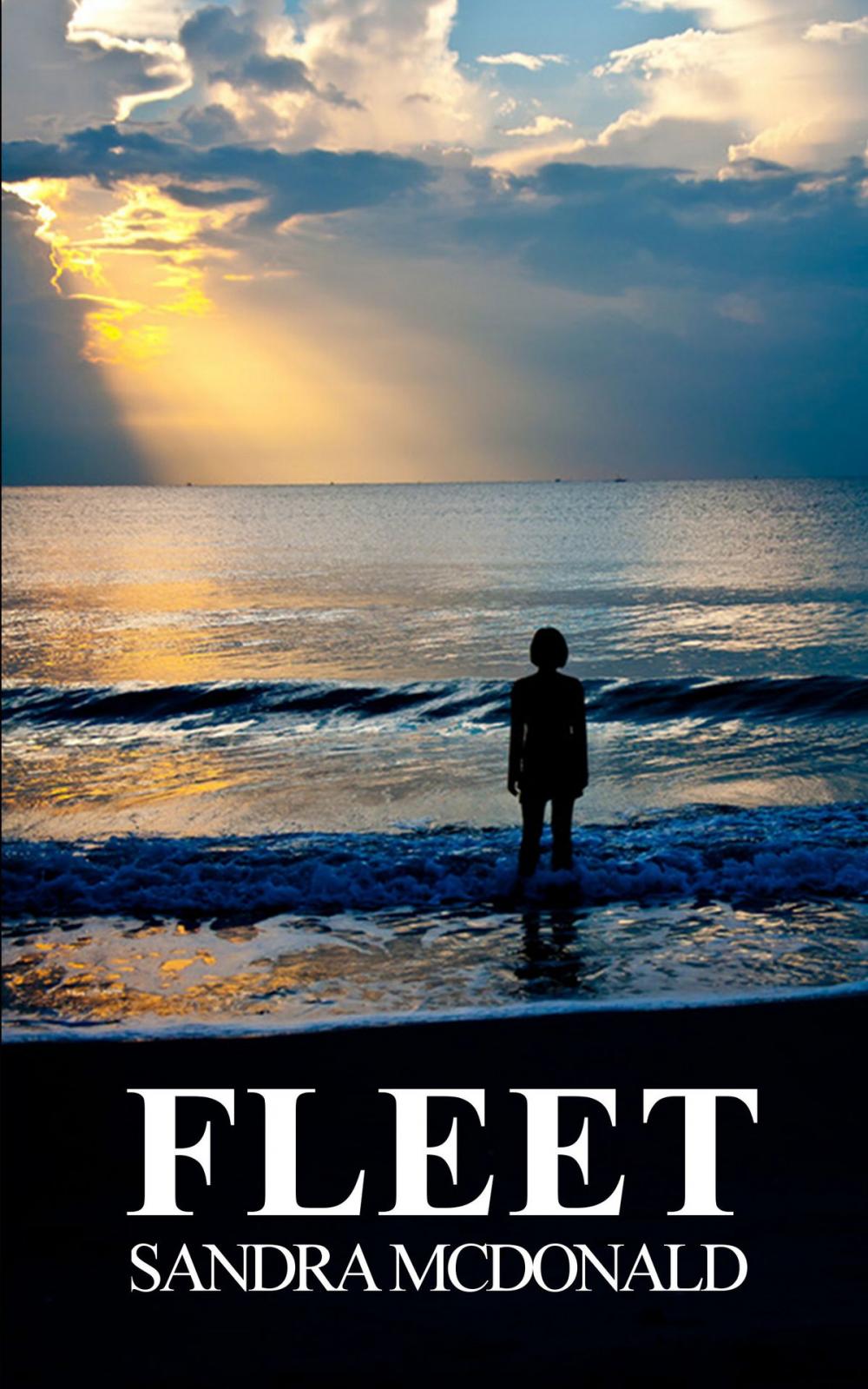 Big bigCover of Fleet: A Transgender Sci Fi story