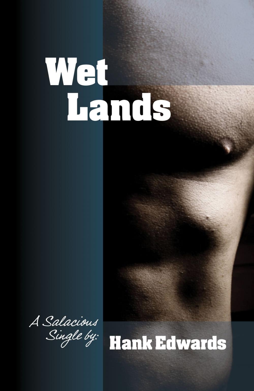 Big bigCover of Wetlands