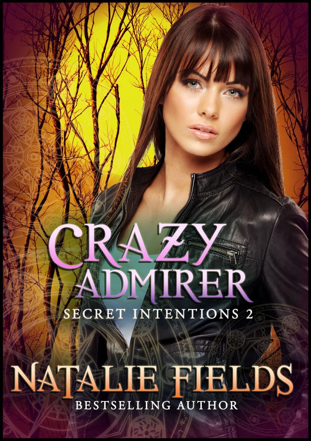 Big bigCover of Crazy Admirer: Secret Intentions 2