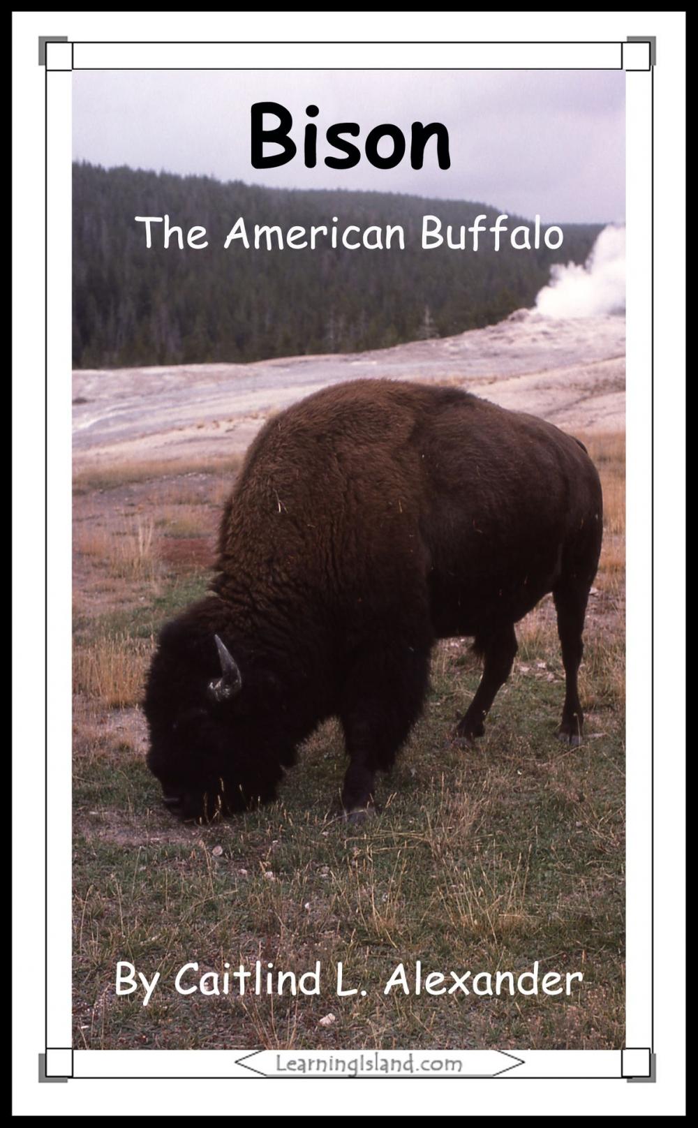 Big bigCover of Bison: The American Buffalo