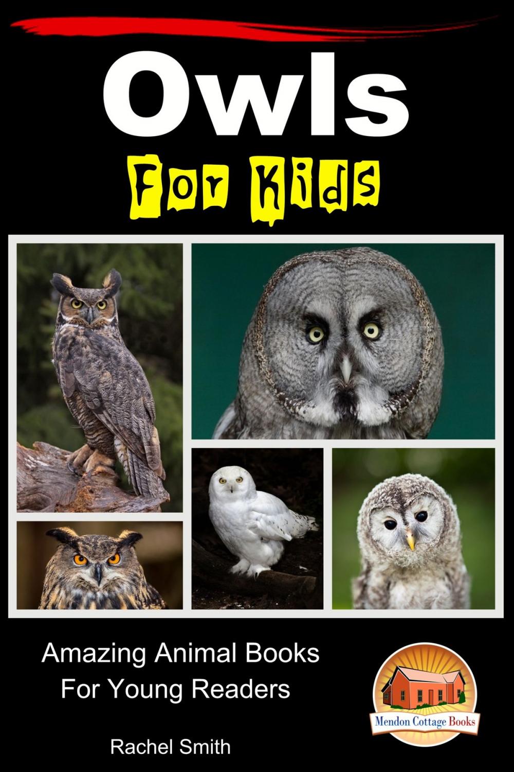 Big bigCover of Owls For Kids: Amazing Animal Books For Young Readers